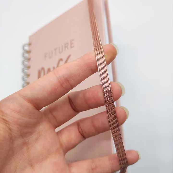 دفتر يوميات ,diary,